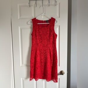 Suzy Shier Lace Dress